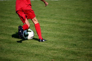 安博体育娱乐-体育新闻中心联合高校打造“体育+传媒”实践课程体系  第2张