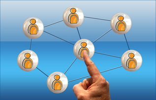 安博体育娱乐-体育新闻中心联合高校打造“体育+传媒”实践课程体系  第3张